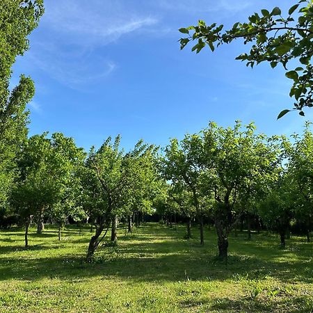 Villa Dunya Montepulciano Stazione Zewnętrze zdjęcie