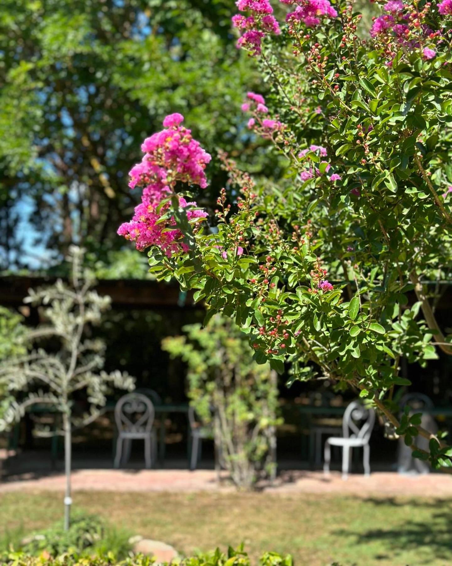 Villa Dunya Montepulciano Stazione Zewnętrze zdjęcie